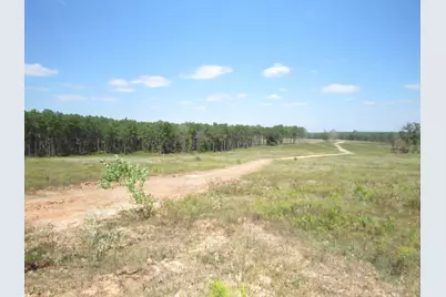 Tbd22 Fm 256 N, Woodville, TX 75979 - Photo 1