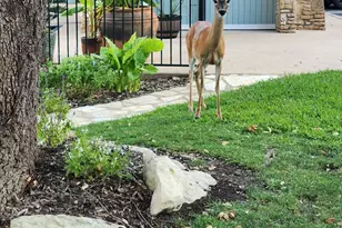 2 Cliffhouse Dr, Belton, TX 76513 - Photo 47