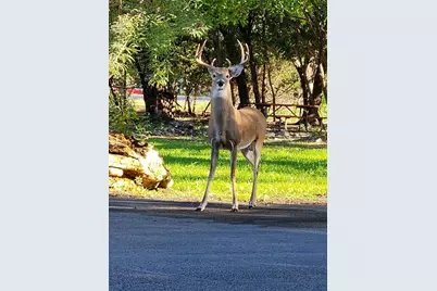 2 Cliffhouse Drive #210, Belton, TX 76513 - Photo 49