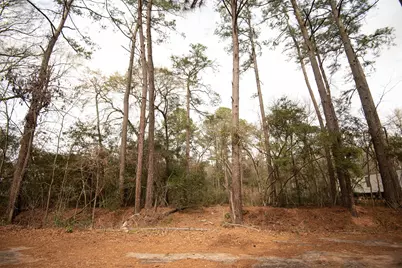 Todd Mission Dr Todd Mission Drive, Plantersville, TX 77363 - Photo 5