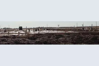 12415 Emerald Enclave Drive, Cypress, TX 77433 - Photo 5