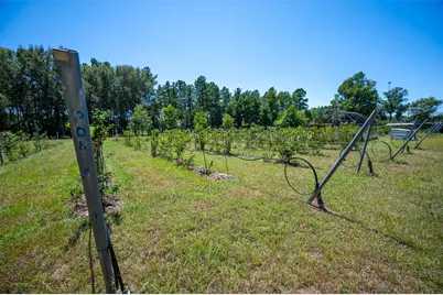 20545 Farm To Market 92 S, Fred, TX 77616 - Photo 3