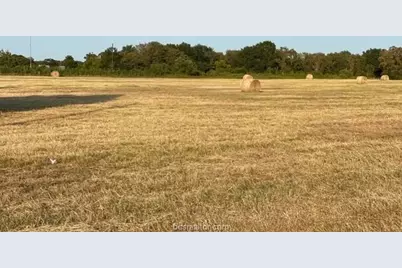 1290 Gun Range Road, Somerville, TX 77879 - Photo 5