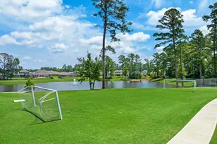 20 Courageous Side Way, Magnolia, TX 77354 - Photo 47