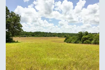 11695 Fm 1511, Oakwood, TX 75831 - Photo 11