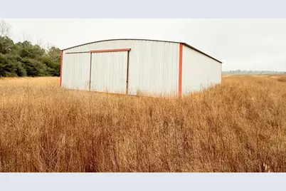 11695 Fm 1511, Oakwood, TX 75831 - Photo 5