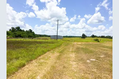 11695 Fm 1511, Oakwood, TX 75831 - Photo 9