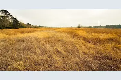 11695 Fm 1511, Oakwood, TX 75831 - Photo 23