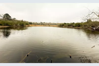 11695 Fm 1511, Oakwood, TX 75831 - Photo 3