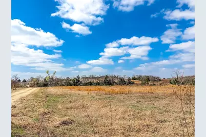 Tbd State Highway 75, Buffalo, TX 75831 - Photo 9