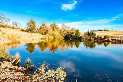 Tbd State Highway 75, Buffalo, TX 75831 - Photo 3