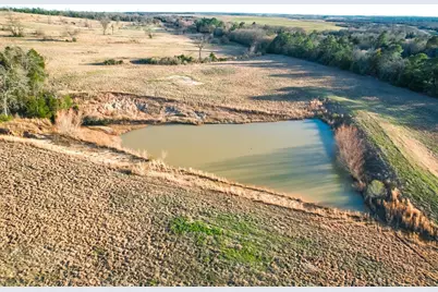 Tbd State Highway 75, Buffalo, TX 75831 - Photo 31
