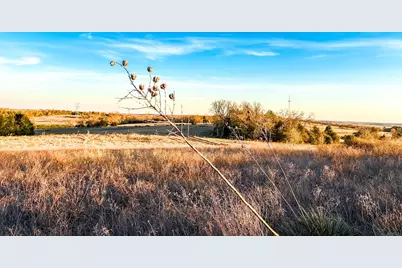 Tbd State Highway 75, Buffalo, TX 75831 - Photo 13