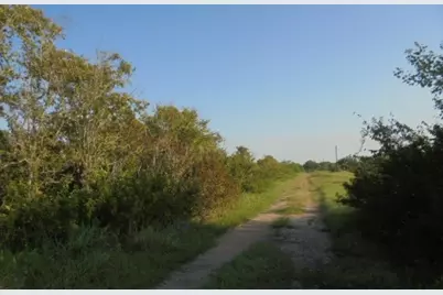 1477 County Road 237, Wadsworth, TX 77414 - Photo 5
