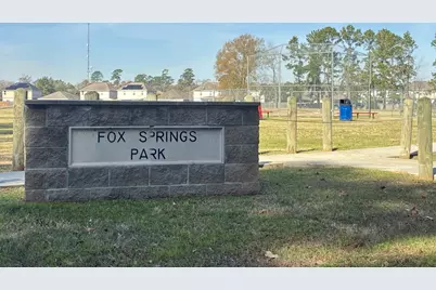 2427 Halstead Drive, Spring, TX 77386 - Photo 25