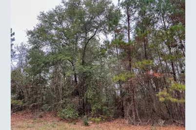 T-4 Highway 190, Newton, TX 75966 - Photo 15