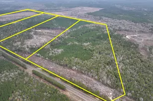 T-4 Hwy 190, Newton, TX 75966 - Photo 1