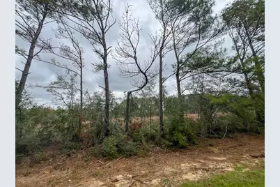 T-4 Highway 190, Newton, TX 75966 - Photo 3