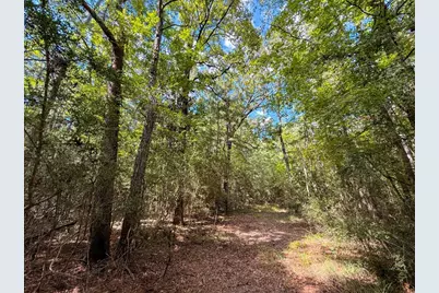 Tbd US 190, Newton, TX 75966 - Photo 17