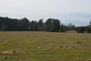 Tbd000 Wiggins, Conroe, TX 77302 - Photo 5