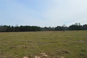 Tbd000 Wiggins, Conroe, TX 77302 - Photo 3