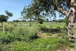 1466 County Road 253A, Weimar, TX 78956 - Photo 1