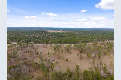 Tbd Lot 4 Fm 3152 Road, Livingston, TX 77351 - Photo 13