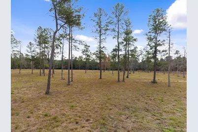 Tbd Lot 4 Fm 3152 Road, Livingston, TX 77351 - Photo 1