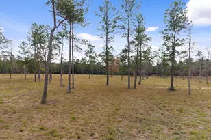 Tbd Lot 4 Fm 3152 Rd, Livingston, TX 77351 - Photo 1