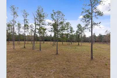 Tbd Lot 4 Fm 3152 Road, Livingston, TX 77351 - Photo 5