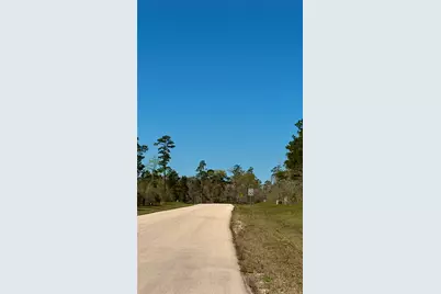 126 Great Plains Way, New Waverly, TX 77358 - Photo 5