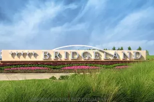 10818 Wild Leadwort Dr, Cypress, TX 77433 - Photo 23