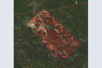 Tbd Possum Walk Lane, New Waverly, TX 77358 - Photo 3