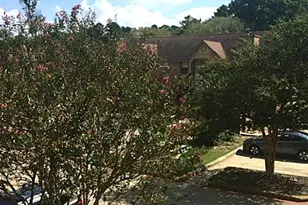 2402 Sycamore Ave, Huntsville, TX 77320 - Photo 15