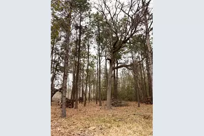 00 Eunice Pvt, Alvin, TX 77511 - Photo 23