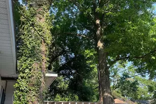 7410 Ilex St, Houston, TX 77012 - Photo 11