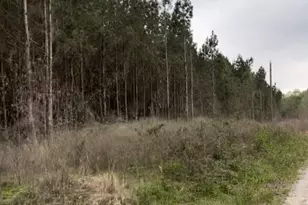 3920 FM1987, Corrigan, TX 75939 - Photo 1