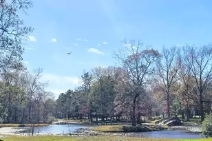 11827 Water Oak Dr, Magnolia, TX 77354 - Photo 47