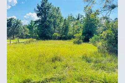 2736 Whitetail Forest Road, Kountze, TX 77625 - Photo 11