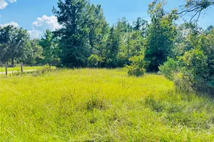 2736 Whitetail Forest Rd, Kountze, TX 77625 - Photo 11