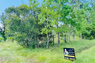 2736 Whitetail Forest Rd, Kountze, TX 77625 - Photo 5