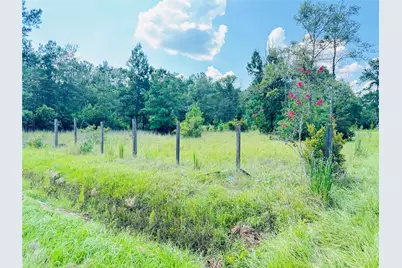 2736 Whitetail Forest Road, Kountze, TX 77625 - Photo 3