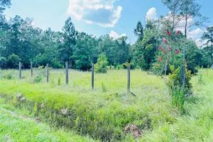2736 Whitetail Forest Rd, Kountze, TX 77625 - Photo 3