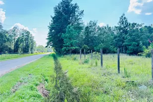 2736 Whitetail Forest Rd, Kountze, TX 77625 - Photo 9