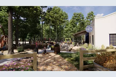 11267 Dance Hall Drive, Montgomery, TX 77316 - Photo 3