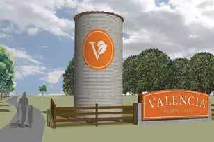 19134 Pink Grapefruit St, Manvel, TX 77578 - Photo 5