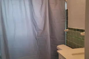 1920 Binz St, Houston, TX 77004 - Photo 13