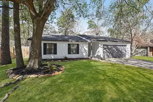 14 Fiddleleaf Ct, The Woodlands, TX 77381 - Photo 3