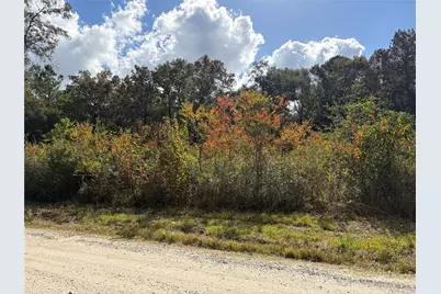 27404 Coral, Splendora, TX 77372 - Photo 3