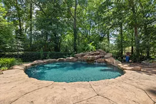 17 Buttonbush Ct, The Woodlands, TX 77380 - Photo 43